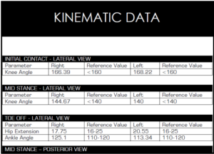 ReportRunSample1