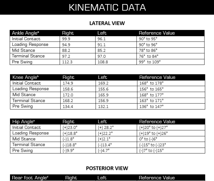 Gait Analysis System_Kinematic data