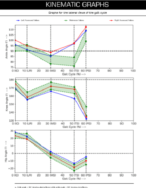 Gait Analysis System_Graph data