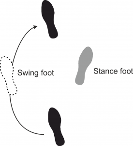 Circumduction