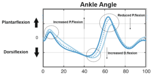 Ankle_speed_variation