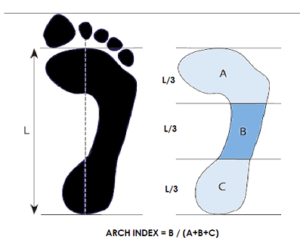 Arch Index