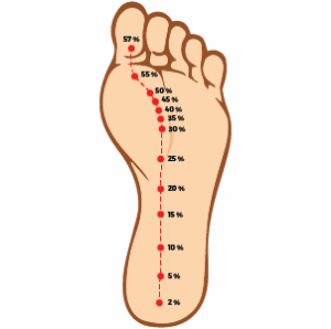 COP progression of ground reaction forces