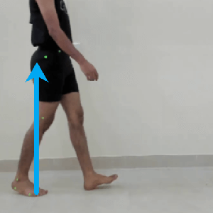 effect of GRF parameters on gait speed