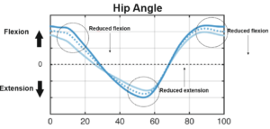 Hip_speed_variation