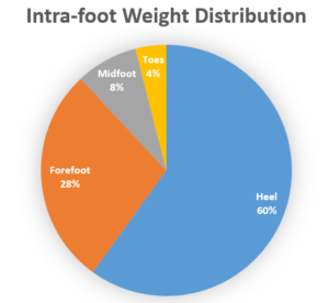 Intra-Foot Weight Distribution