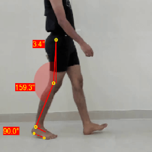 effect of kinematics on gait speed