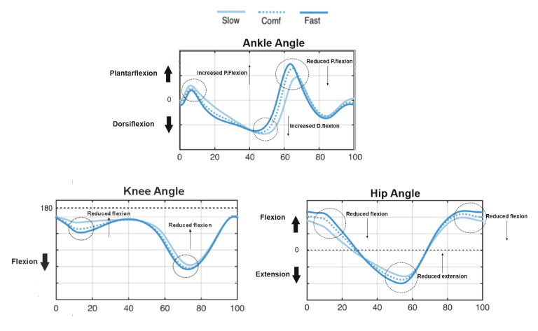 gait speed effect on joint angles