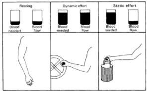 Static Muscle Loading