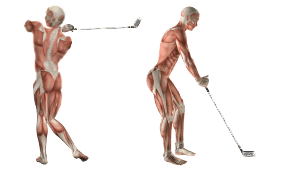 Golf Swing Analysis Software_2