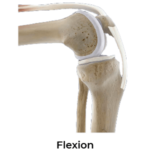 flexion screw home mechanism