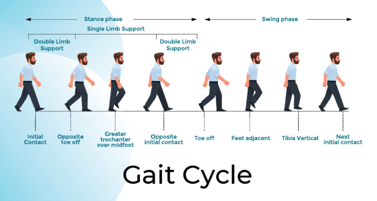 hypothesis gait analysis