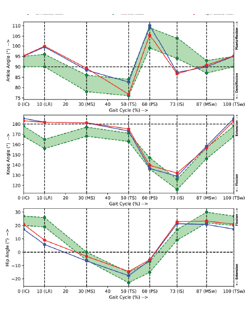 Gait Analysis System_Graph data