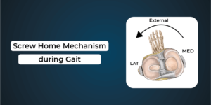 screw home mechanism