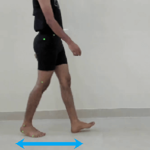 effect of spatiotemporal parameters on gait speed